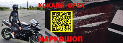шишки Обь