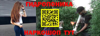 шишки Обь