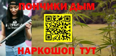 шишки Обь