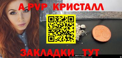 шишки Обь