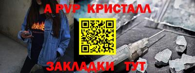 шишки Обь